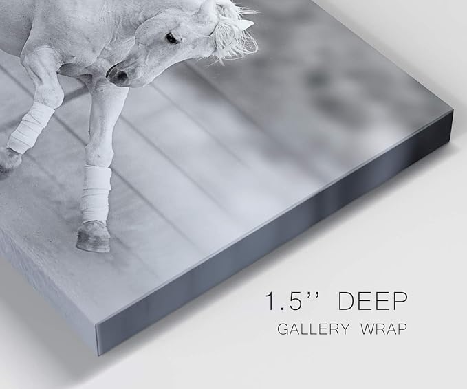 Renditions Gallery Canvas Animal Wall Art Home Paintings & Prints Vintage Dancing Horse Modern Black & White Wall Hanging Romantic Artwork Decor for Bedroom Office Kitchen - 8"x12" LT33