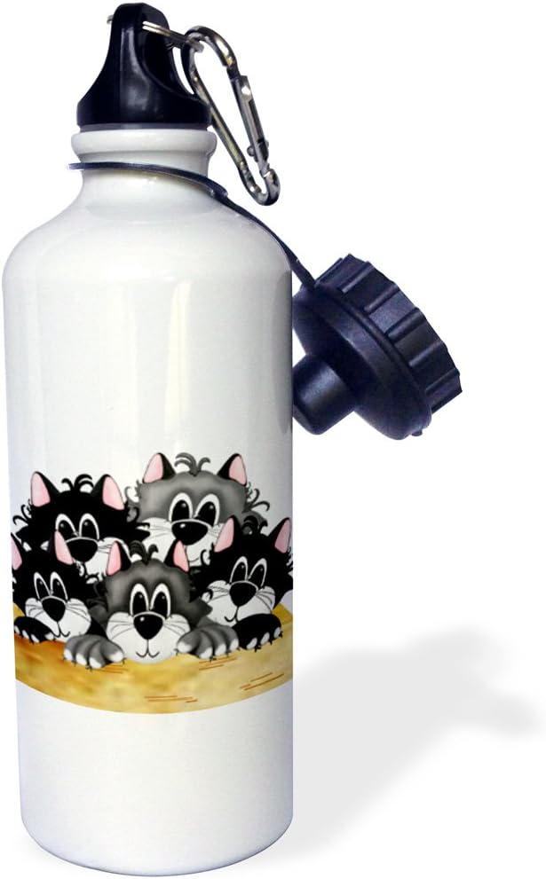 3dRose "Box of Cats" Sports Water Bottle, 21 oz, White