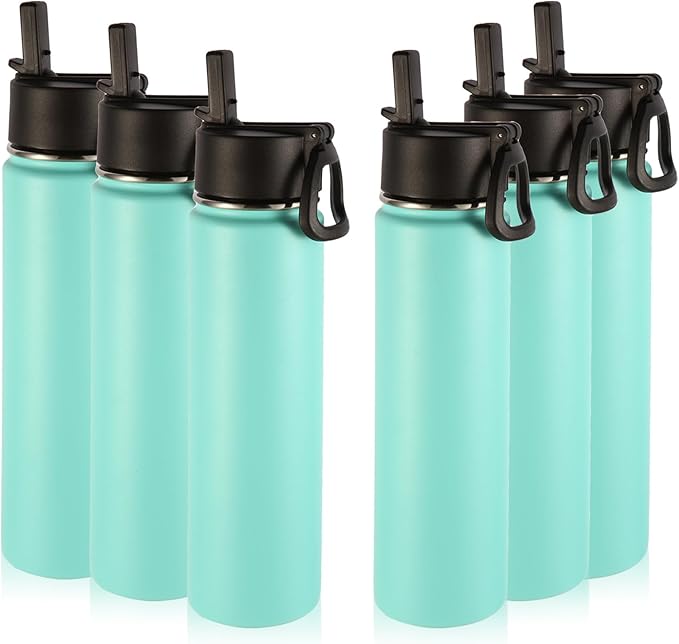 Volhoply 24oz Insulated Water Bottle With Straw Bulk 6 Pack,Metal Wide Mouth Water Bottles With Handle Lid Keep Cold,Reusable Double Wall Thermos,Powder Coated Sport Bottle For Holder(Mint,6 Count)