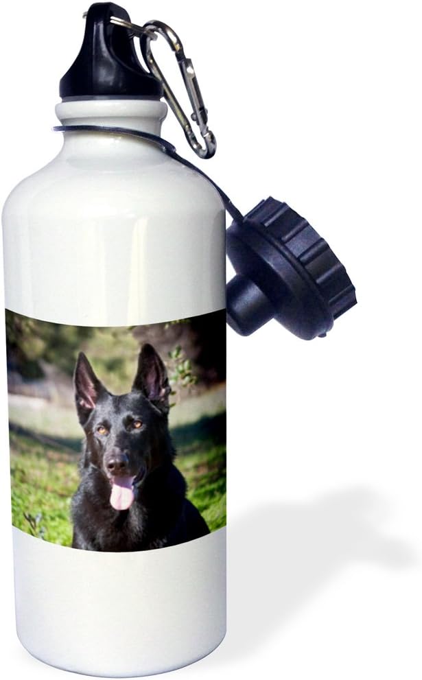 3dRose "Portrait of a German Shepherd dog NA02 ZMU0133 Zandria Muench Beraldo" Sports Water Bottle, 21 oz, White