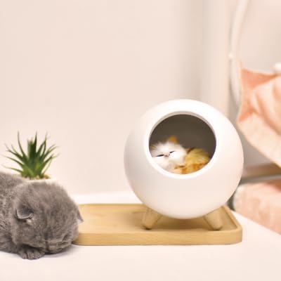 2024 New Small Pet House USB Cute Cartoon Creative Portable Charging Lamp Children Mini Desk LED Night Light