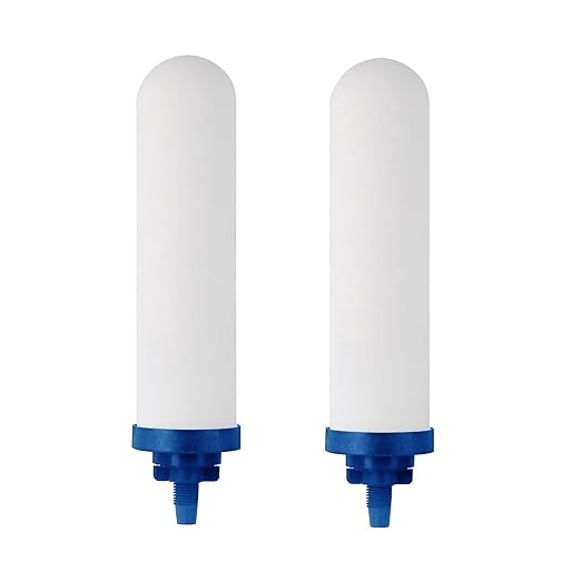 7" Ceramic Fluorine Filter, Replacement Filters for ProOne® G2.0 Filters, ProOne® Big+ or Big II Countertop Gravity Water Filter System and FACHIOO King Tank Series(Pack of 2)