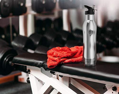 Invigorated Water pH Active Insulated Water Bottle - Filtered Alkaline Water Bottle - Stainless Steel Water Bottle - Includes Alkaline Water Filter, Plus Sports Gym Lid - Double Walled Metal - 650ml