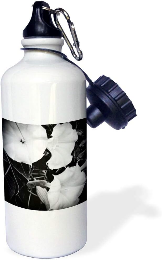 3dRose Three Moonflowers freshly bloomed in a Michigan garden-Sports Water Bottle, 21oz , Multicolored