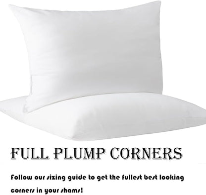 Pack of 4 Throw Pillow Inserts, 18 x 18 Square Cushion Inner Soft Fluffy Plump Stuffer Cushion Pads White Decorative Pillow Inserts (12x20 Inch (Pack of 4))