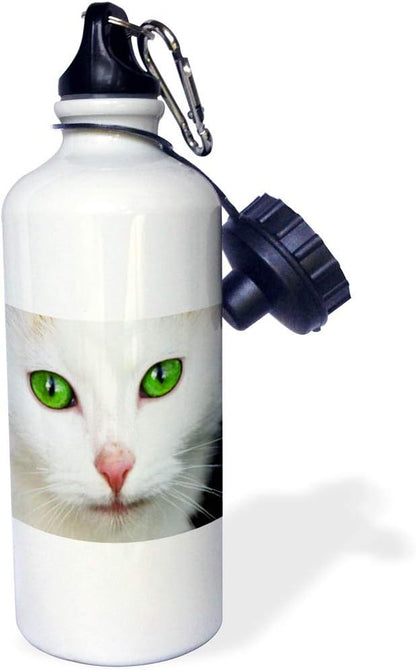 3dRose Kitty White, cat, pet, Animal Sports Water Bottle, 21oz, Multicolored