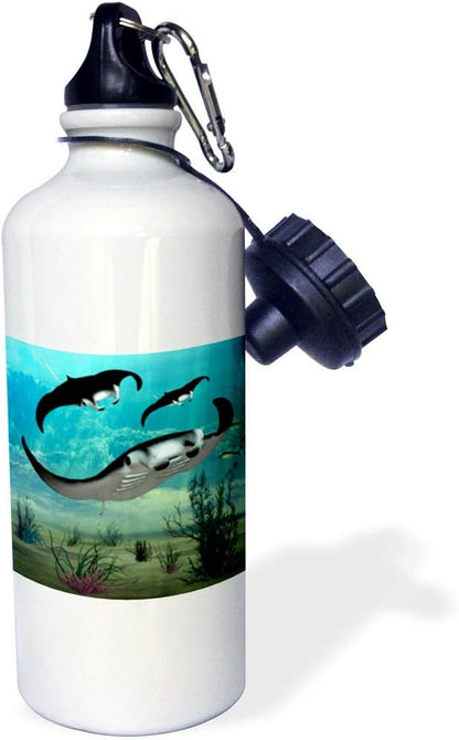 3dRose Manta Rays Swimming Sports Water Bottle, 21 oz, White