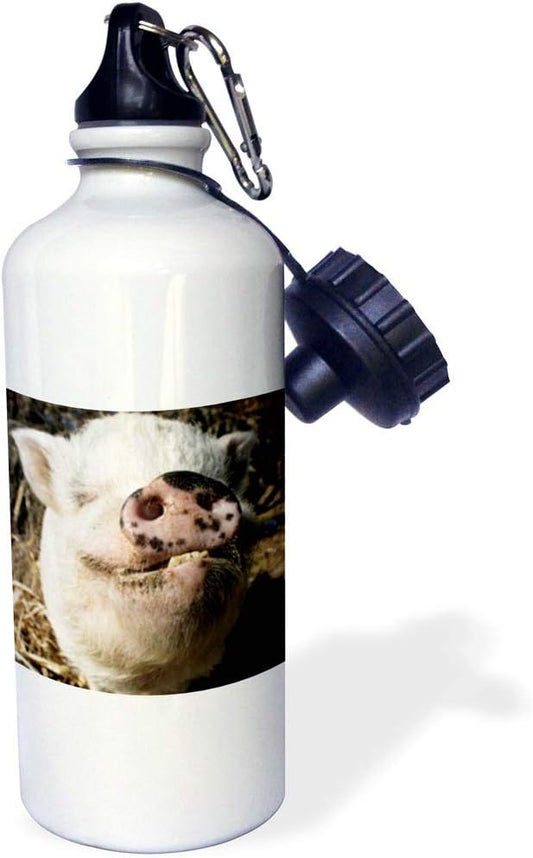 3dRose Pet Pot Bellied Pig, Farm Animal, New Mexico-Us32 Jmr0497-Julien Mcroberts Sports Water Bottle, 21 oz, White