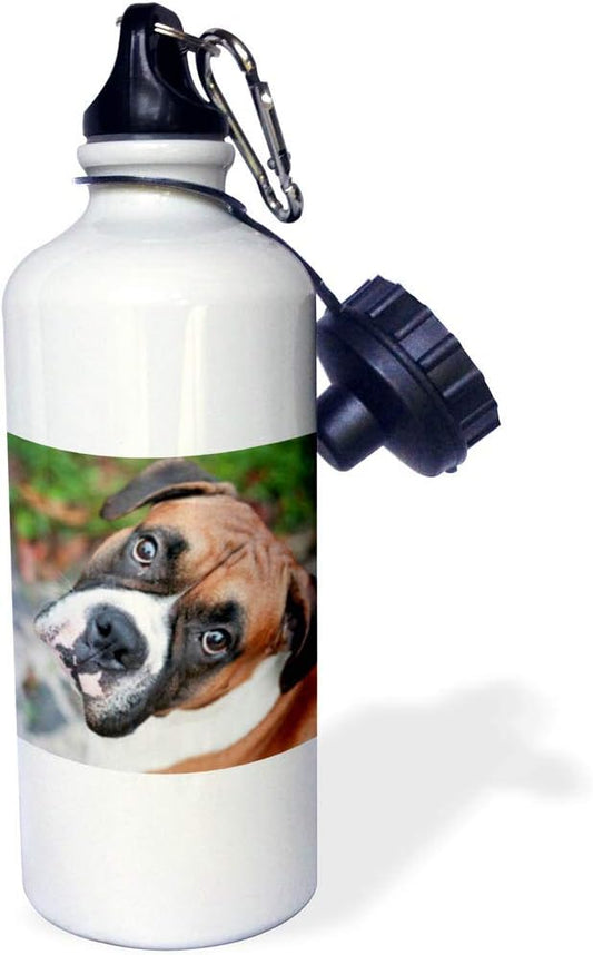 3dRose "Cute boxer dog portrait canine" Sports Water Bottle, 21 oz, White