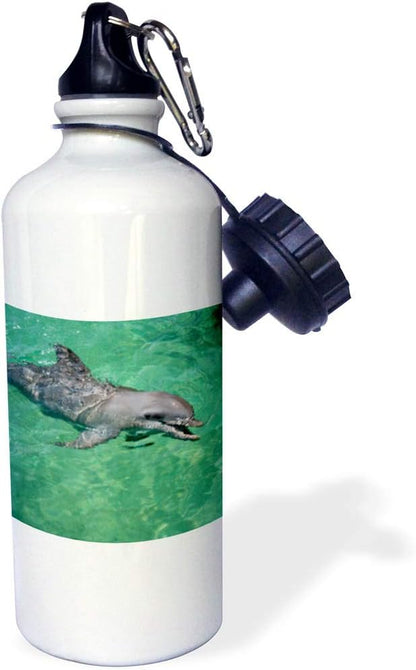 3dRose Honduras, Honduran Bay Islands Anthonys Key, Bottlenose Dolphin Sports Water Bottle, 21oz, Multicolored