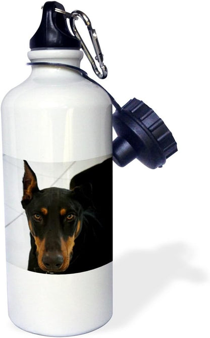 3dRose Doberman-Sports Water Bottle, 21oz , Multicolored