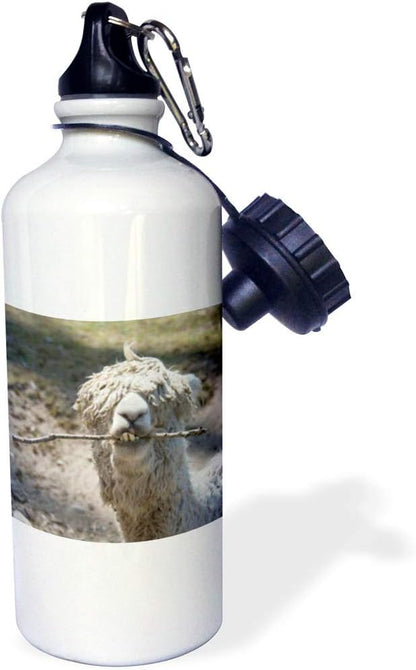3dRose "Alpaca chewing on stick" Sports Water Bottle, 21 oz, White