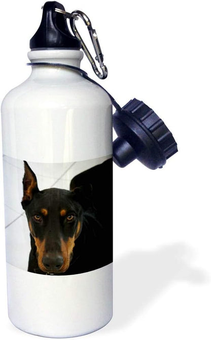 3dRose Doberman-Sports Water Bottle, 21oz , Multicolored