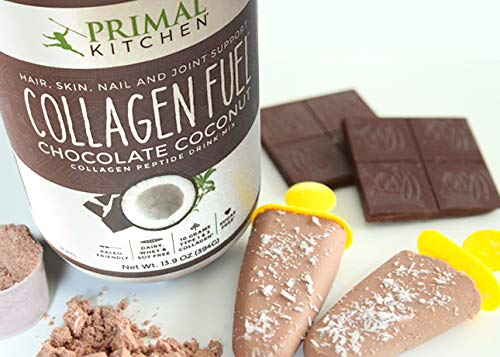 Primal Kitchen Chocolate Collagen Fuel Drink Mix, Chocolate Coconut Collagen Peptides, No Sugar or Dairy, 20 Ounces