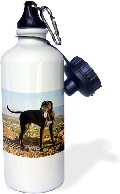 3dRose "A black German Shorthaired Pointer dog-US05 ZMU0367-Zandria Muench Beraldo" Sports Water Bottle, 21 oz, White