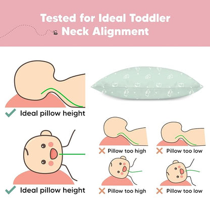 2-Pack Toddler Pillow - Soft Organic Cotton Toddler Pillows for Sleeping - 13X18 Small Pillow for Kids - Kids Pillows for Sleeping - Kids Pillow for Travel, School, Nap, Age 2 to 5 (Bunnies)