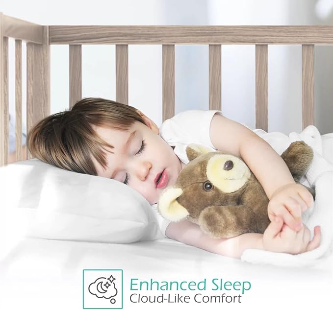 800 Thread Count 100% Egyptian Cotton Toddler Pillowcases Set of 2, Super Soft and Breathable Zipper Closer Travel Pillow Cases, 16x22 Inches, Teal Solid