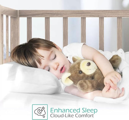 800 Thread Count 100% Egyptian Cotton Toddler Pillowcases Set of 2, Super Soft and Breathable Zipper Closer Travel Pillow Cases, 12x16 Inches, Teal Solid