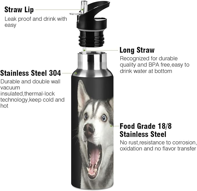 Blueangle 20oz Siberian Husky Dog Water Bottle, BPA Free Stainless Steel Water Bottle Leak-Proof Sports Bottle for Camping Workouts Gym and Outdoor Activity