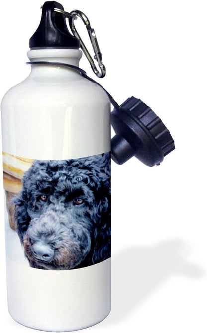 3dRose Poodle-Sports Water Bottle, 21oz , 21 oz, Multicolor