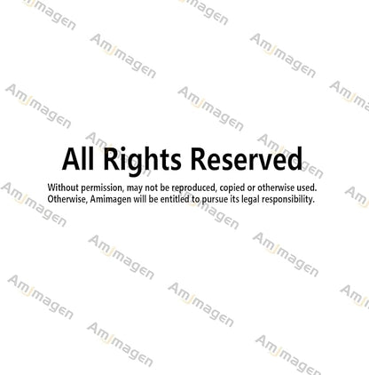 Animals Climbing Trees Wall Stickers - Lion Monkey Sloth Koala Toucan Wall Decals - Baby Nursery Kids Room Daycare Playroom Classroom Wall Decor