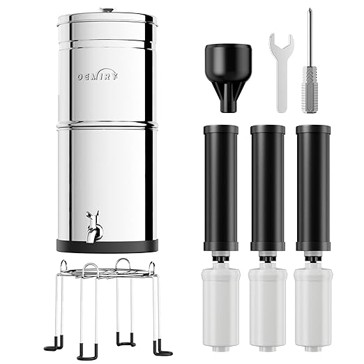 3.25G Gravity-Fed Water Filter System, NSF/ANSI Standard, 304 Stainless Steel System with 3 Carbon Filters, 3 Fluoride Filters and Stand, Reduce 99% Chlorine, Lead and Fluoride