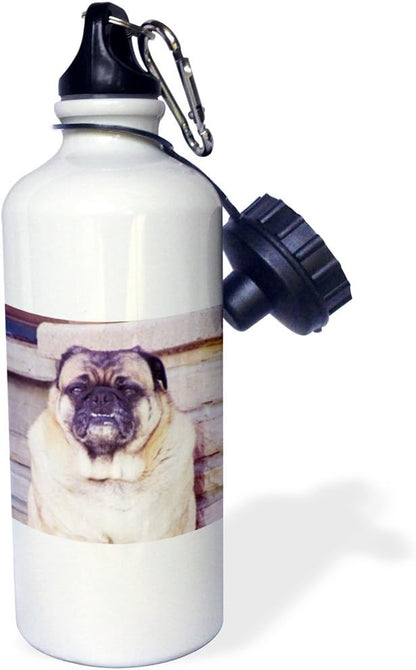 3dRose Pug Dog-Sports Water Bottle, 21oz , Multicolored