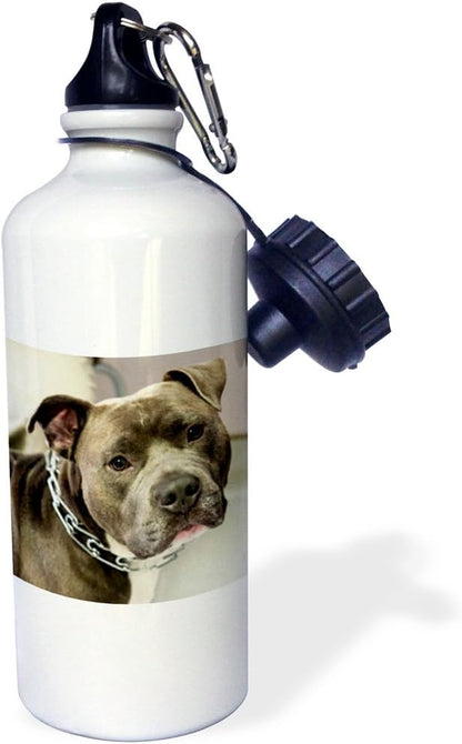 3dRose Pit Bull with Chain Collar Sports Water Bottle, 21 oz, Multicolor