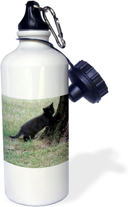 3dRose Black Kitten About to Climb A Tree Sports Water Bottle, 21 oz, Multicolor