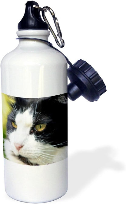 3dRose Profile of Black and White Cat Sports Water Bottle, 21 oz, Multicolored