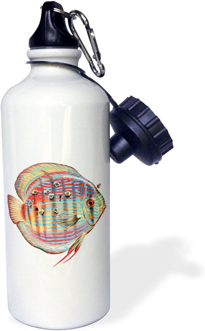3dRose Discus Young Feeding off of the Parent fish-Sports Water Bottle, 21oz , 21 oz, Multicolor