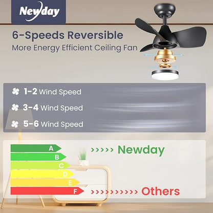 Newday Ceiling Fan with Lights Remote Control, 22 inch Quiet DC Motor Small Ceiling Fans, Dimmable Ceiling Fan for Bedroom, Kids Room, Kitchen (Black)