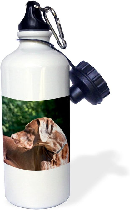 3dRose "A German Shorthaired Pointer dog NA02 ZMU0131 Zandria Muench Beraldo" Sports Water Bottle, 21 oz, White