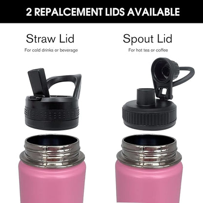 4pack 22 oz Insulated Water Bottle With Straw, Stainless Steel Sports Water Cup Flask with 2 Lids, Wide Mouth Travel Thermal Mug,Pink