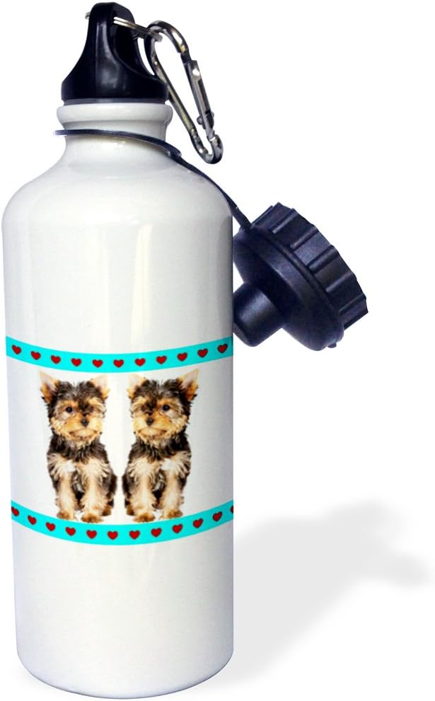 3dRose Tea Cup Yorkies Friends Sports Water Bottle, 21 oz, Multicolor