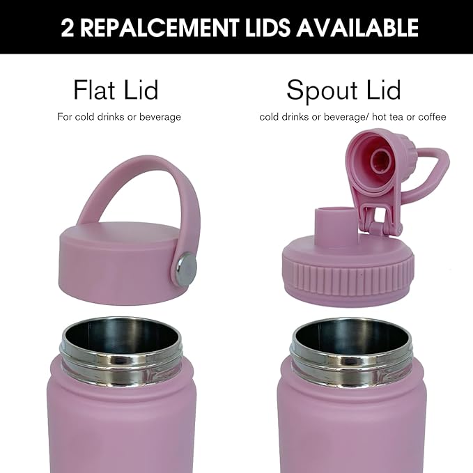 22oz Insulated Water Bottle ，Stainless Steel Sports Water Cup Flask with 2 Lids, Wide Mouth Travel Thermal Mug,Outdoor Sports Bottle（Jelly Purple）