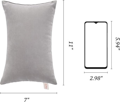 BEDSUM 2 Pack Tiny Pillows, 11"x7" Microfiber Mini Pillows for Travel, Pets, Soft and Machine Washable Small Pillows for Neck, Wrist, and Knee Comfort, Light Grey