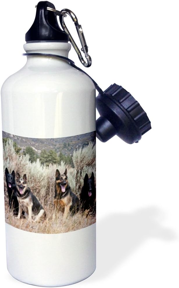 3dRose "Four German Shepherd dogs NA02 ZMU0162 Zandria Muench Beraldo" Sports Water Bottle, 21 oz, White