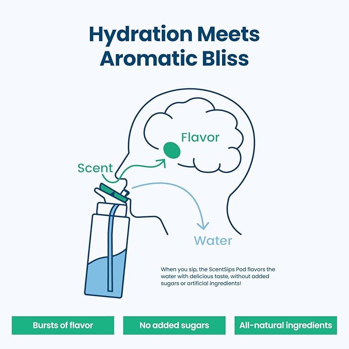 32oz Stainless Steel Air Water Bottle with Straw & 7 Refresher ScentSip Flavor Pods | Leak-Proof, Dishwasher Safe | Zero Calorie, Zero Sugar Flavored Water Bottle（White）