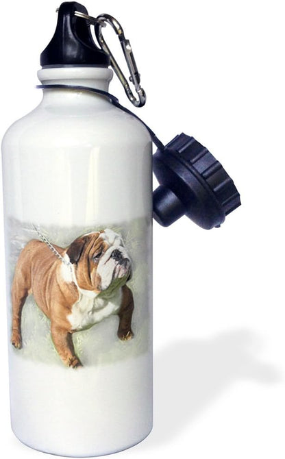 3dRose Print of Bull Dog Painting-Sports Water Bottle, 21oz , Multicolored