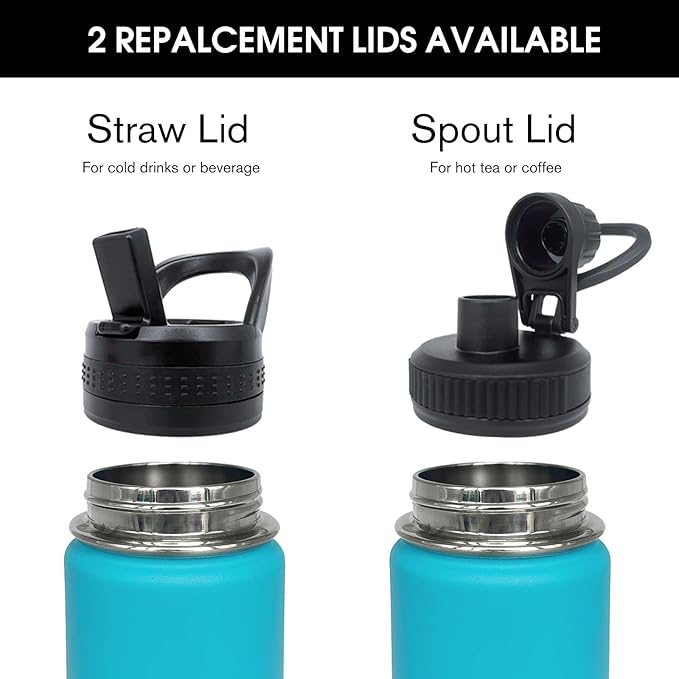 4pack 22 oz Insulated Water Bottle With Straw, Stainless Steel Sports Water Cup Flask with 2 Lids, Wide Mouth Travel Thermal Mug,Blue gradient