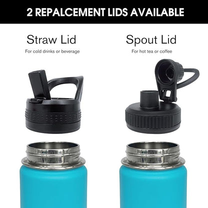 4pack 22 oz Insulated Water Bottle With Straw, Stainless Steel Sports Water Cup Flask with 2 Lids, Wide Mouth Travel Thermal Mug,Blue gradient