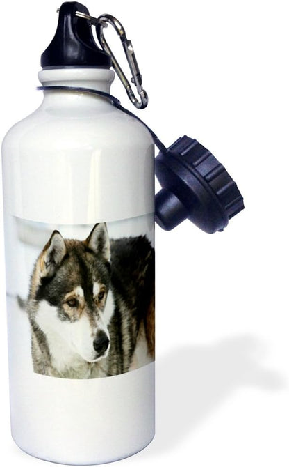 3dRose Print of Husky Painting Sports Water Bottle, 21 oz, Multicolor