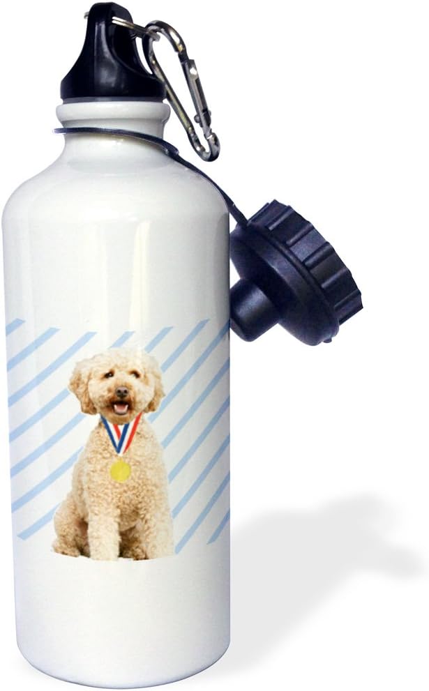 3dRose Labradoodle, Dog, Puppy, Champion, Animal, Pet Sports Water Bottle, 21 oz, Multicolor