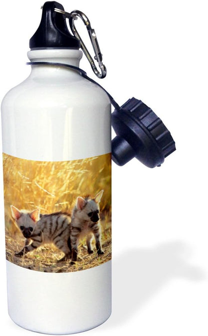 3dRose pair of Aardwolf cubs at play. -Sports Water Bottle, 21oz , Multicolored