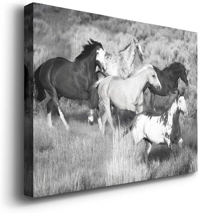Renditions Gallery Canvas Animal Wall Art Modern Decorations Paintings Running Vintage Horses Black & White Nature Wall Hanging Artwork Prints for Bedroom Office Kitchen - 18"x27" LT33