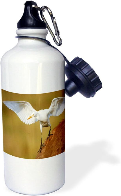 3dRose A Cattle egret descends from its Perch Rietvlei, South Africa Sports Water Bottle, 21 oz, Multicolored
