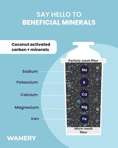 Alkaline Water Filter Pitcher 8 Cup, Free Filter Cartridge Included, Increases Water pH, Removes Lead, Chlorine, Copper. Fast Filtration, Water Purifier Pitcher