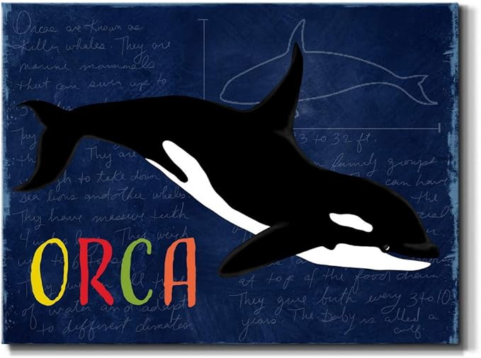 Renditions Gallery Canvas Animal Wall Art Modern Decorations Paintings Colorful Playful Orca Abstract Black & White Vibrant Artwork Canvas Prints for Kids Bedroom Nursery - 32"x48" LT33