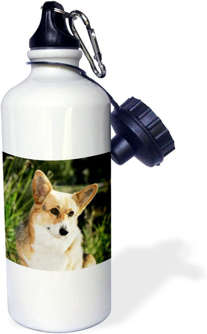 3dRose "Pembroke Welsh Corgi dog NA02 PWO0114 PiperAnne Worcester" Sports Water Bottle, 21 oz, White